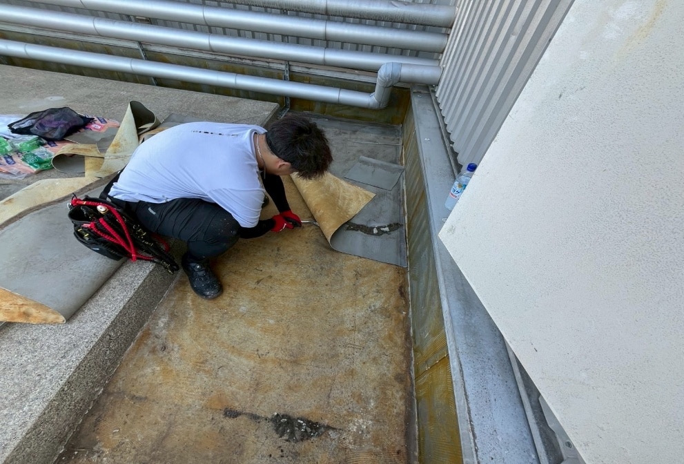 既存シートを撤去している画像